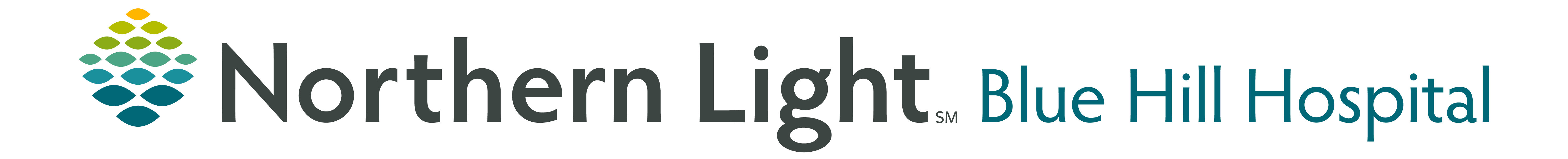 Northern Light Health Foundation logo