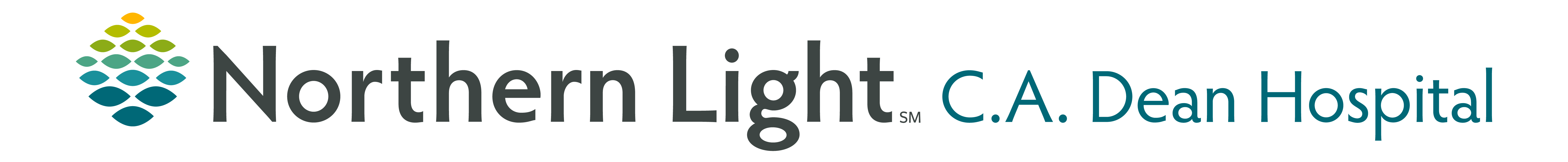 Northern Light Health Foundation logo