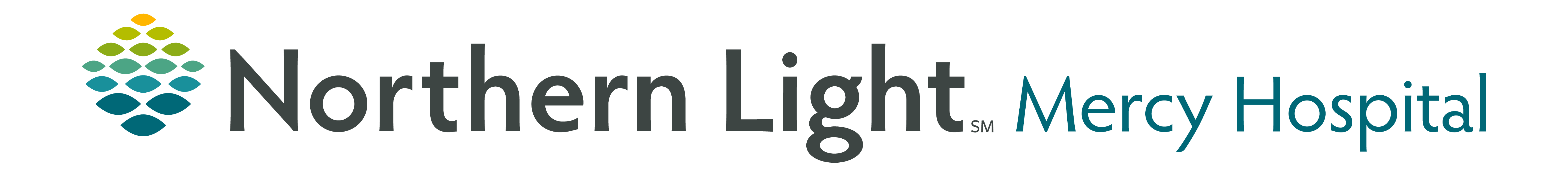 Northern Light Health Foundation logo