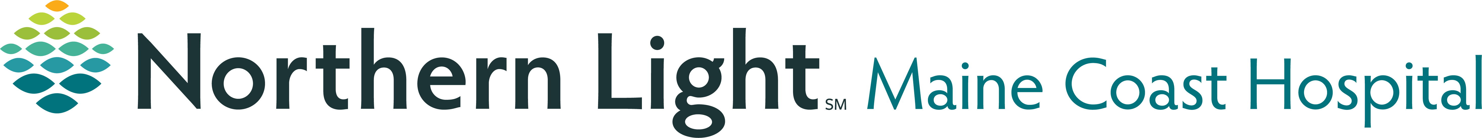 Northern Light Health Foundation logo