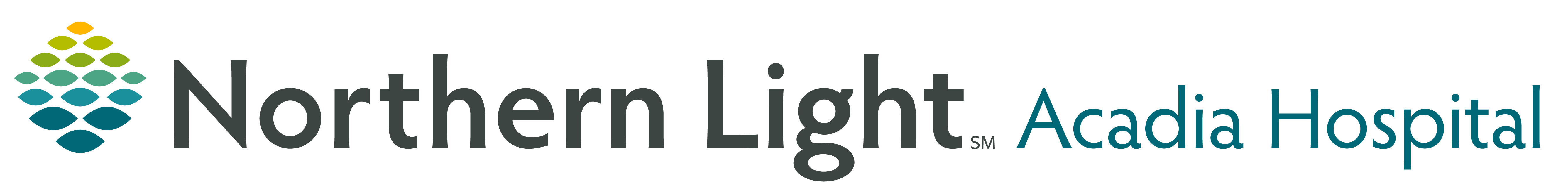 Northern Light Health Foundation logo